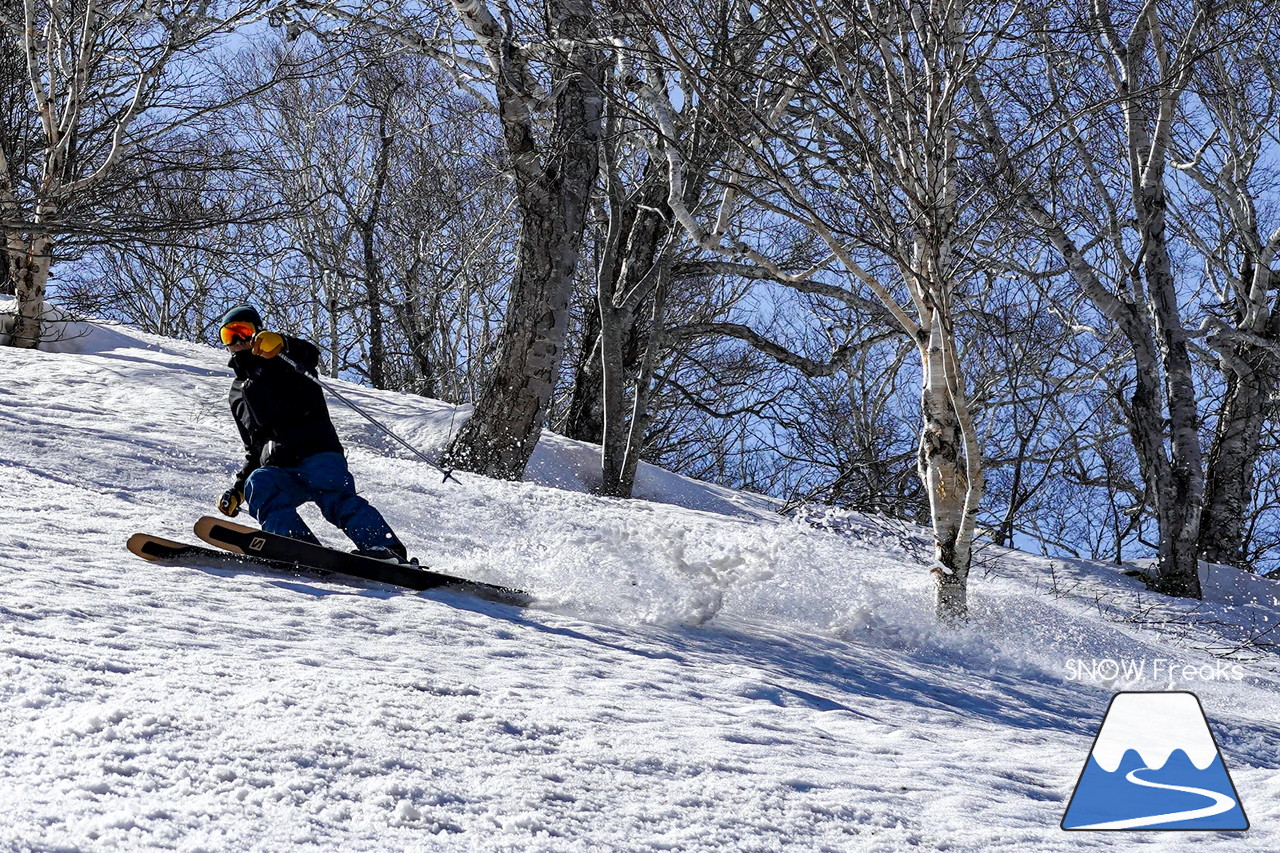 ニセコグラン・ヒラフ DYNASTAR SKI TEST RIDE DAYS Photo Session!!最高の天気に恵まれたニセコに、最高の仲間たちが集まりました☆